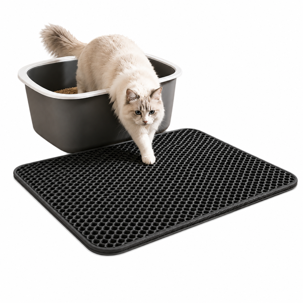 Cat Litter Mat – 2-Layer Sand Trap