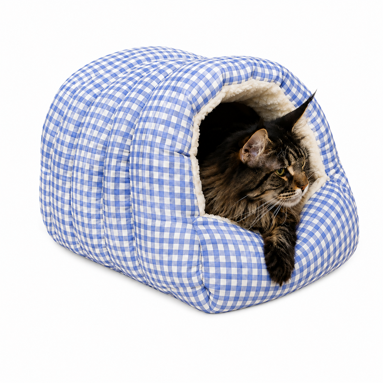 CozyNest Cat